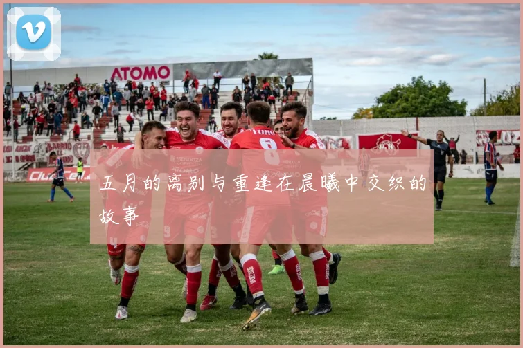 五月的离别与重逢在晨曦中交织的故事